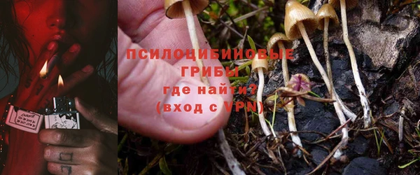 Альфа ПВП Лиски