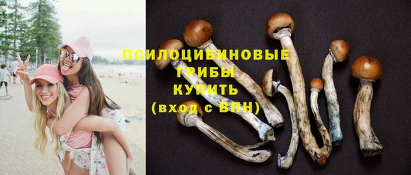 spice Лихославль