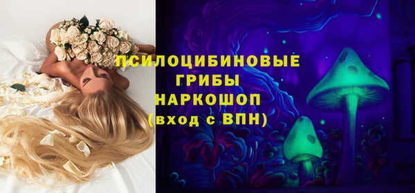 крисы Аксай